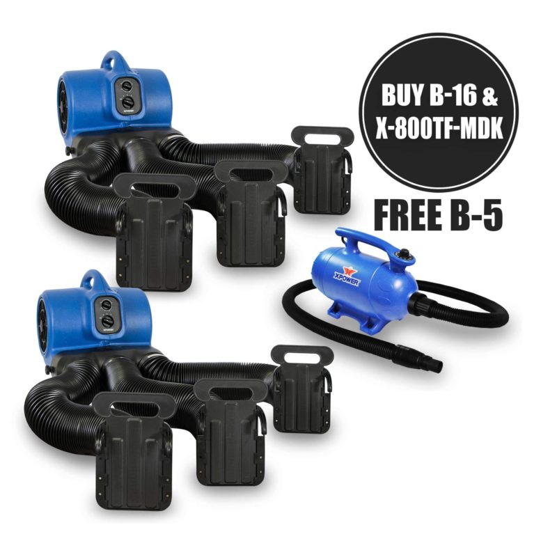 Air Chaser | Master Distributor of XPOWER Air Movers, Inflatable Blowers, Pet Dryers