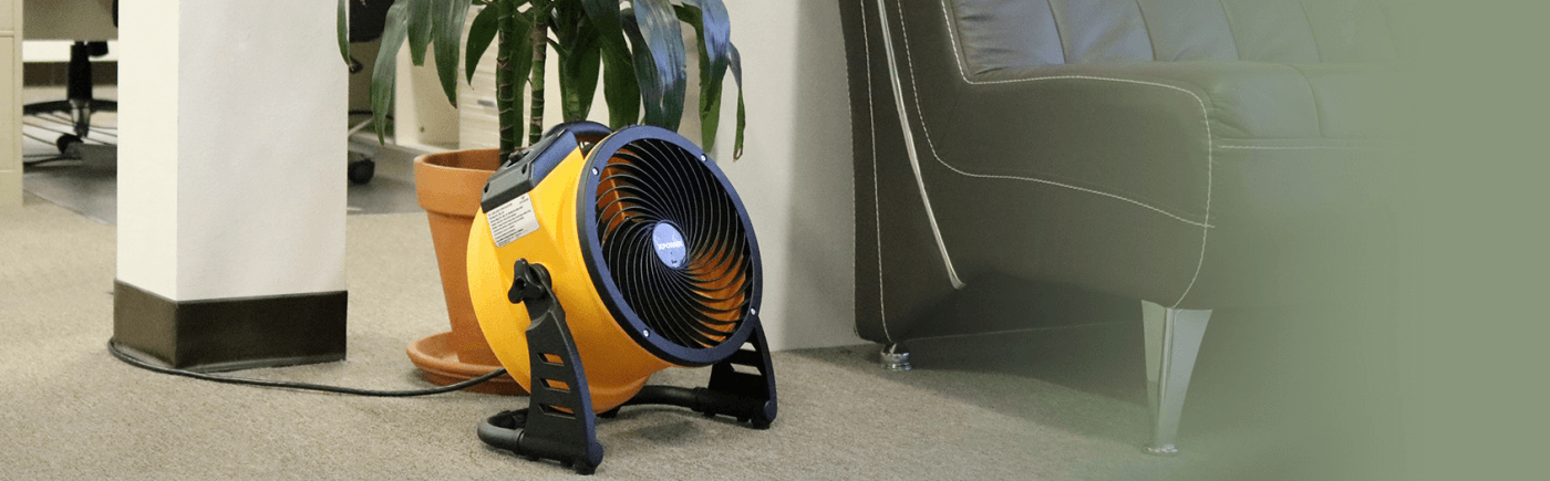 Air Chaser | Master Distributor of XPOWER Air Movers, Inflatable Blowers, Pet Dryers